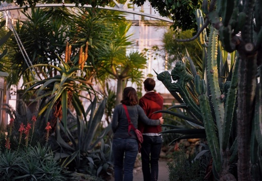 Krohn Conservatory